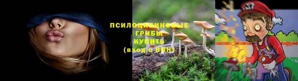 мяу мяу мука Бугульма
