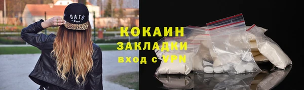 шишки Бронницы
