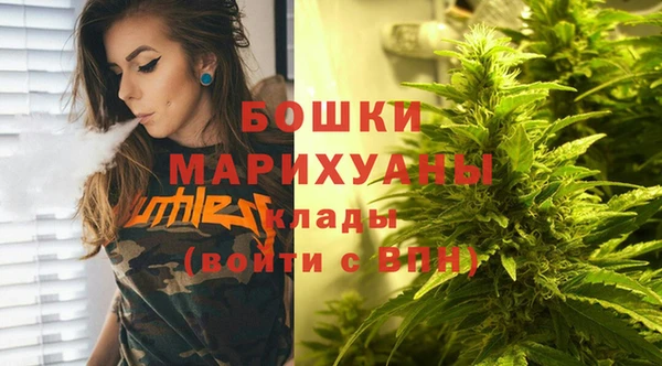 шишки Бронницы