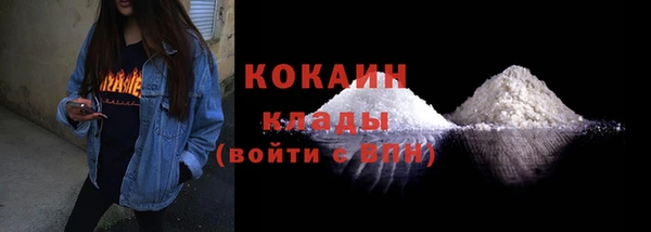шишки Бронницы