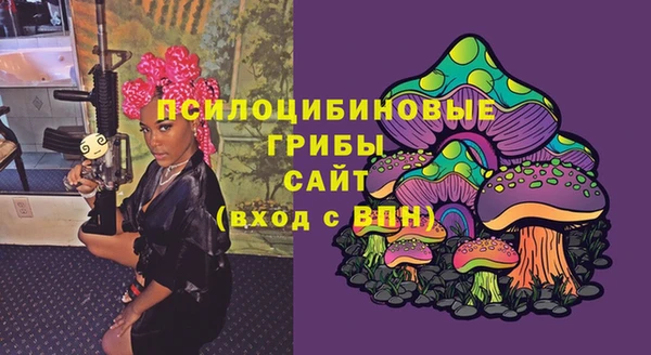 шишки Бронницы