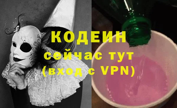 2c-b Бородино
